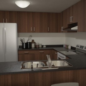 Modern Kitchen